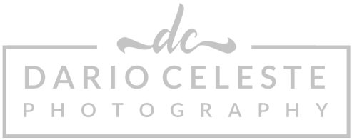Dario Celeste